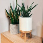 Leseno stojalo za cvetlične lonce 05.157.11